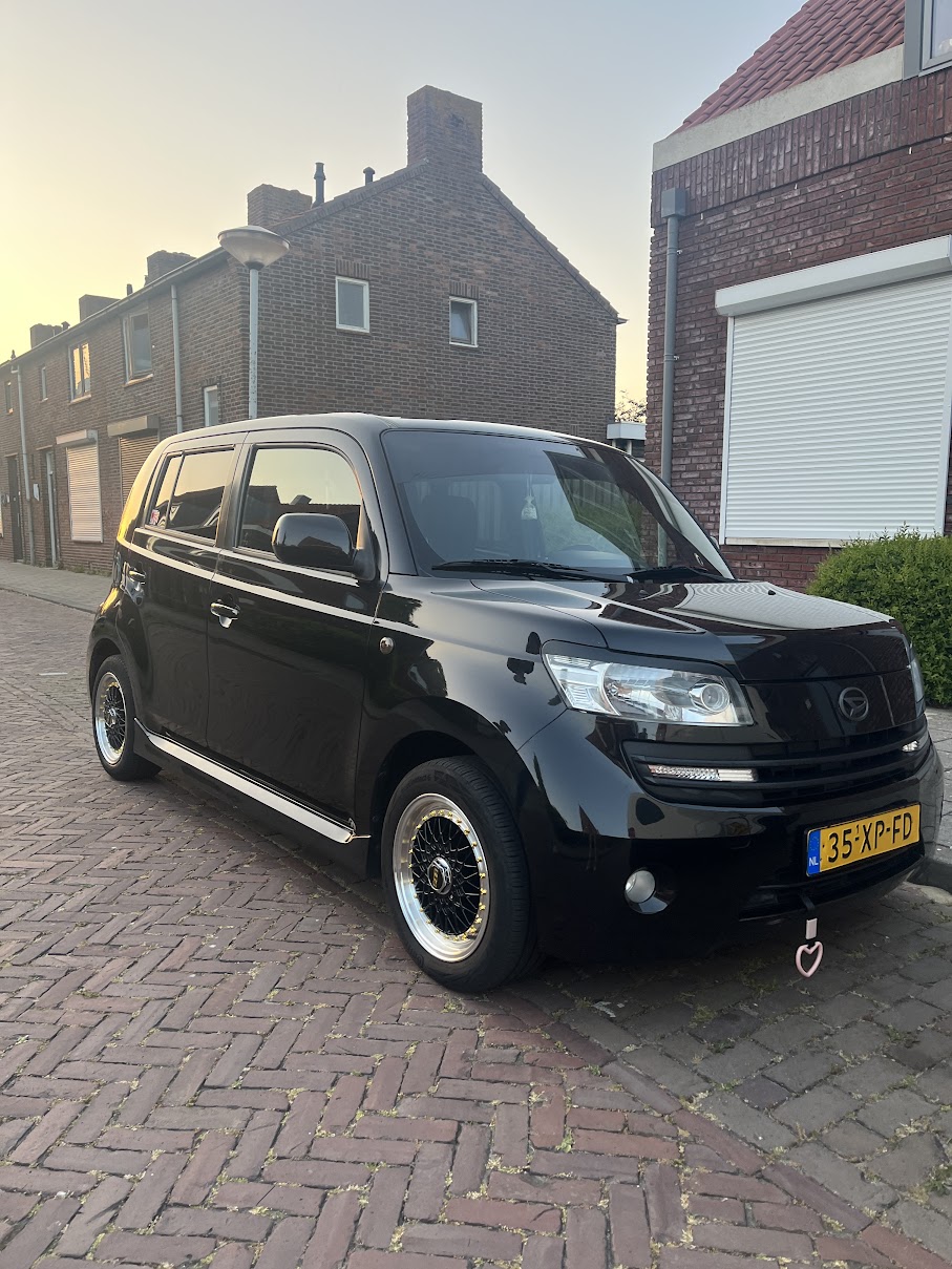 auto detailing in Standdaarbuiten